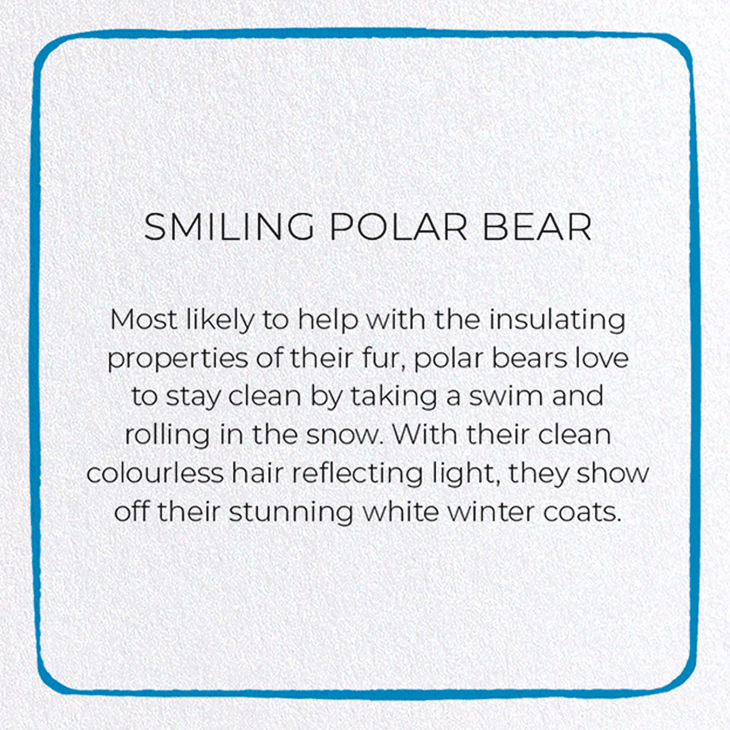SMILING POLAR BEAR: Colourblock Greeting Card