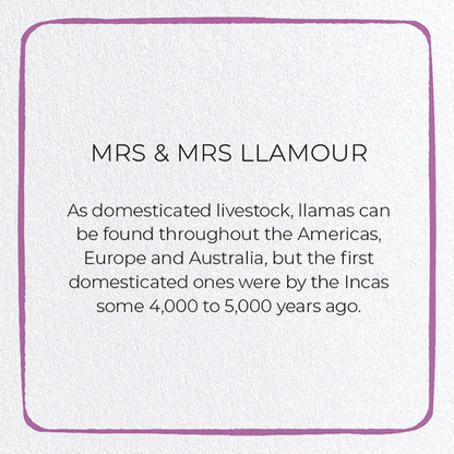 MRS & MRS LLAMOUR: Colourblock Greeting Card