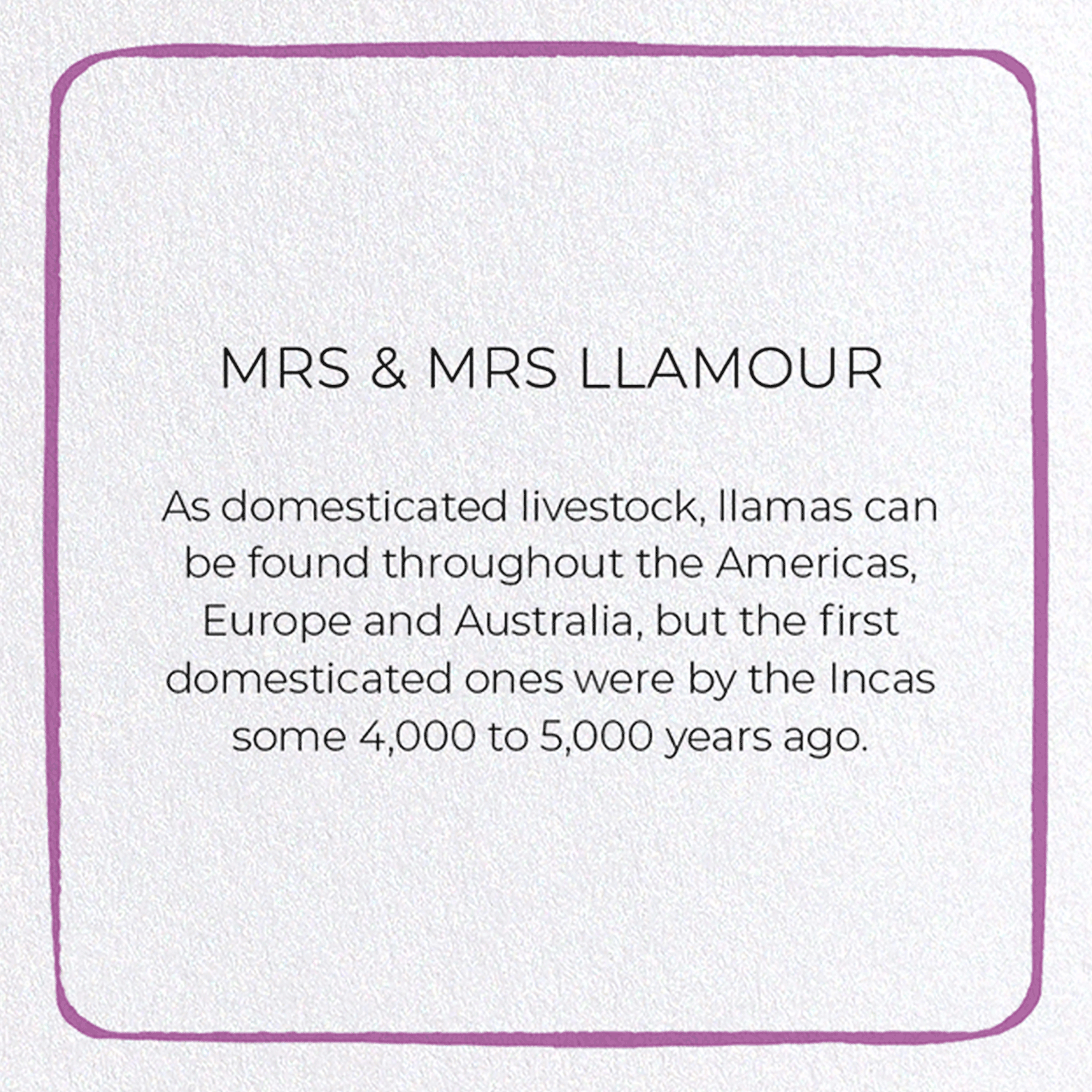 MRS & MRS LLAMOUR: Colourblock Greeting Card