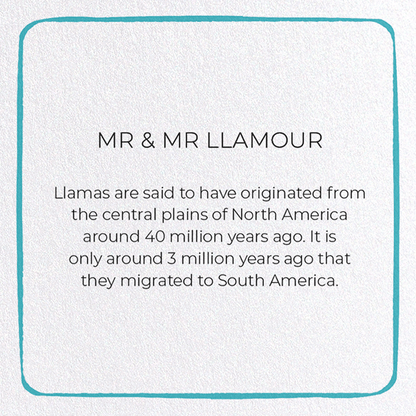 MR & MR LLAMOUR: Colourblock Greeting Card
