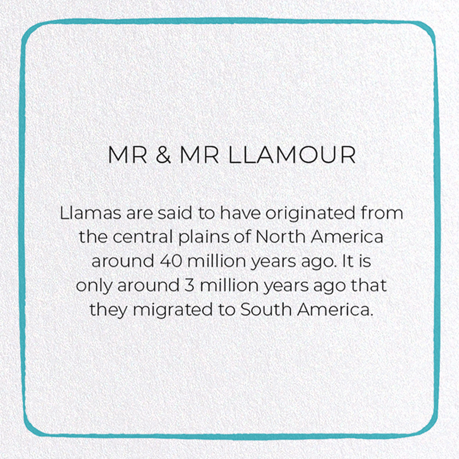 MR & MR LLAMOUR: Colourblock Greeting Card
