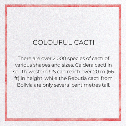 COLOURFUL CACTI: Painting Greeting Card