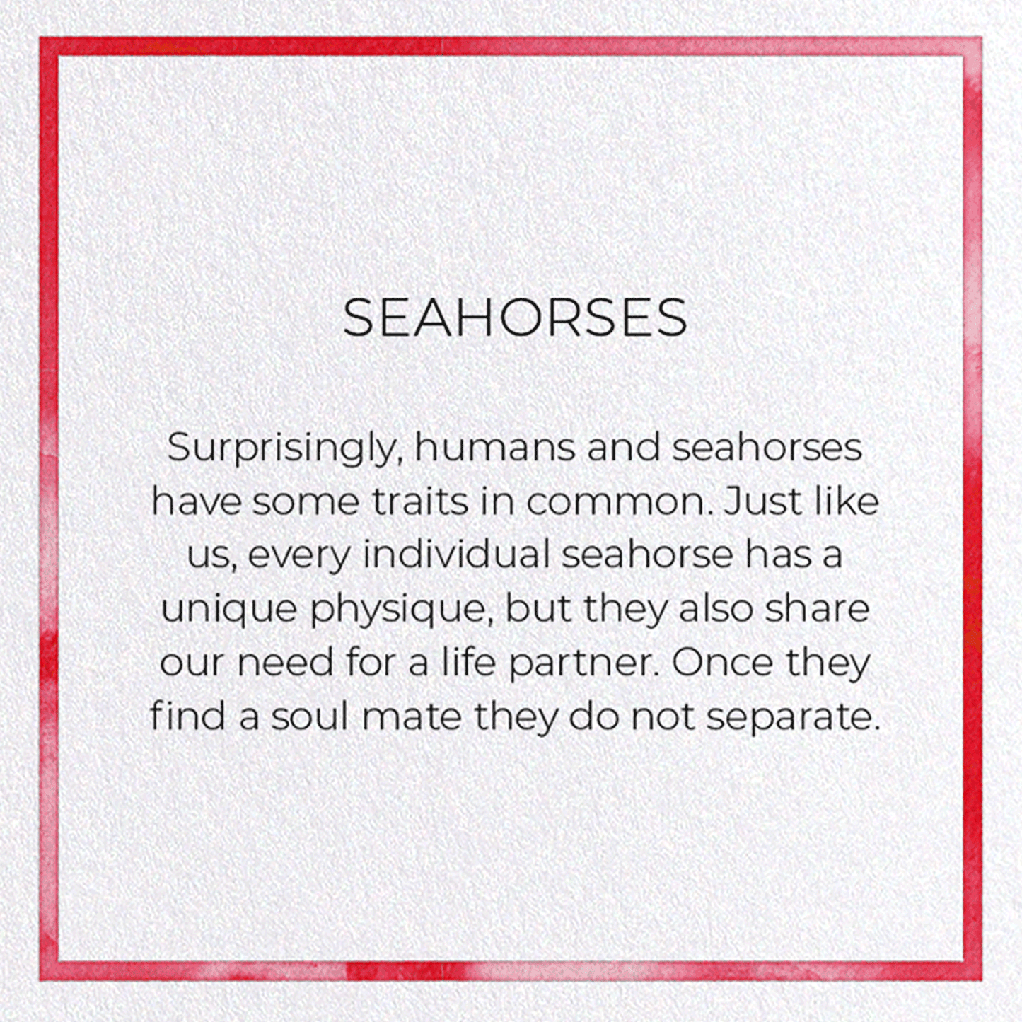 SEAHORSES: Watercolour Greeting Card