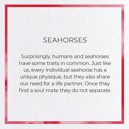 SEAHORSES: Watercolour Greeting Card