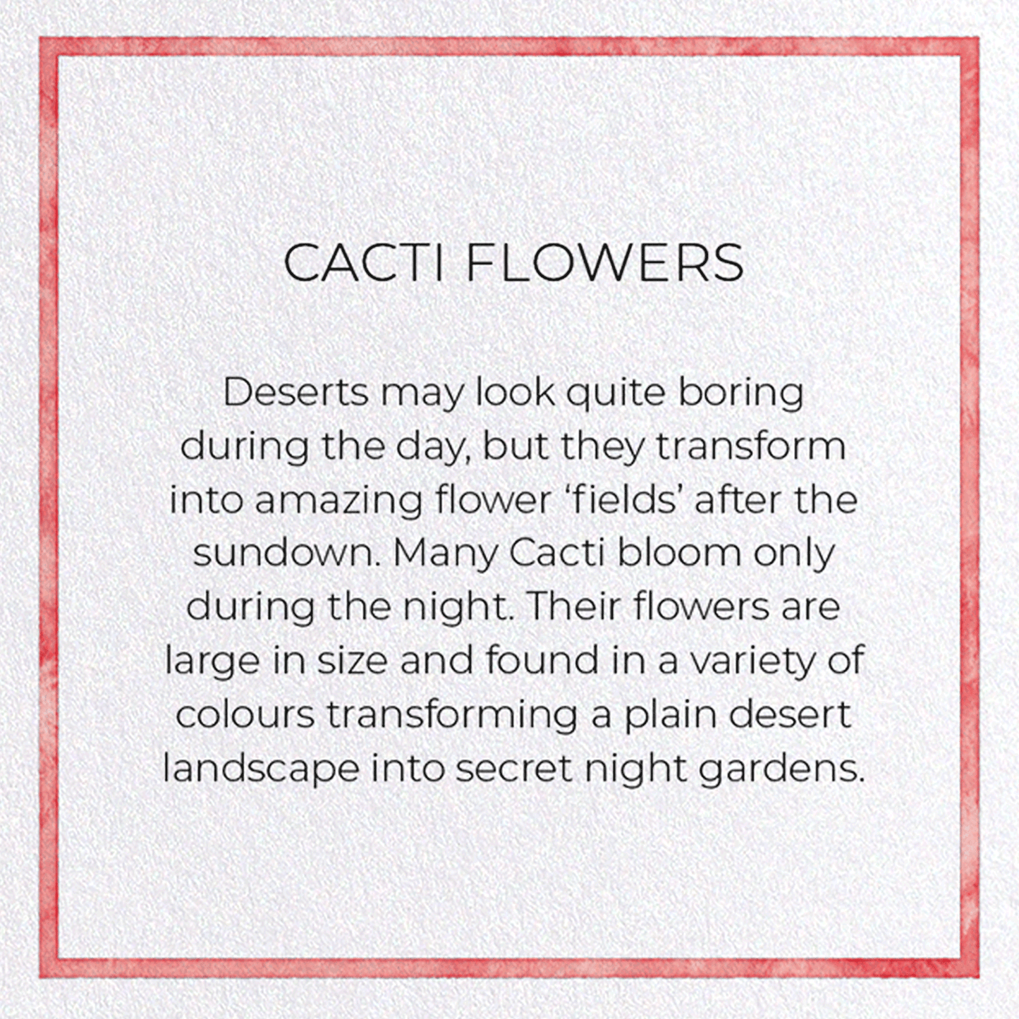 CACTI FLOWERS: Painting Greeting Card