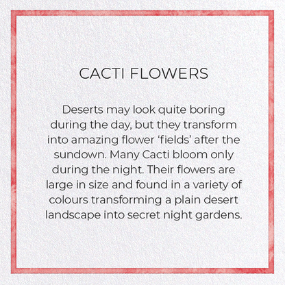 CACTI FLOWERS: Painting Greeting Card