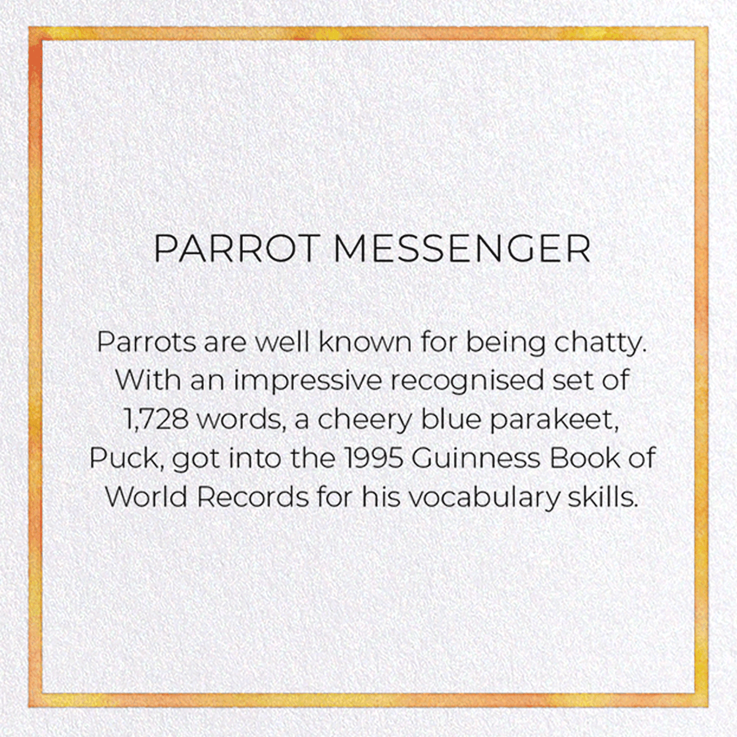 PARROT MESSENGER: Painting Greeting Card