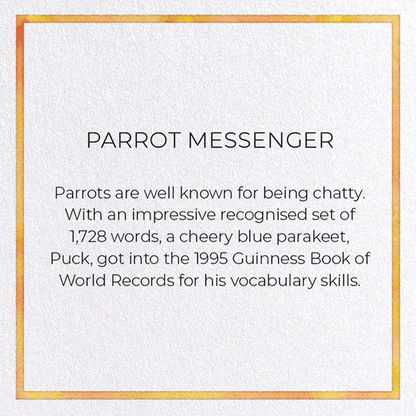 PARROT MESSENGER: Painting Greeting Card