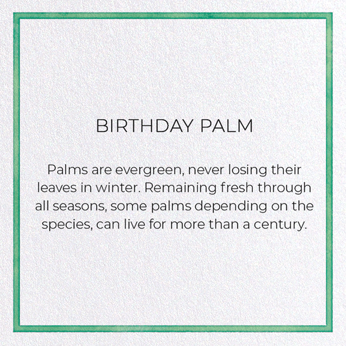 BIRTHDAY PALM: Watercolour Greeting Card