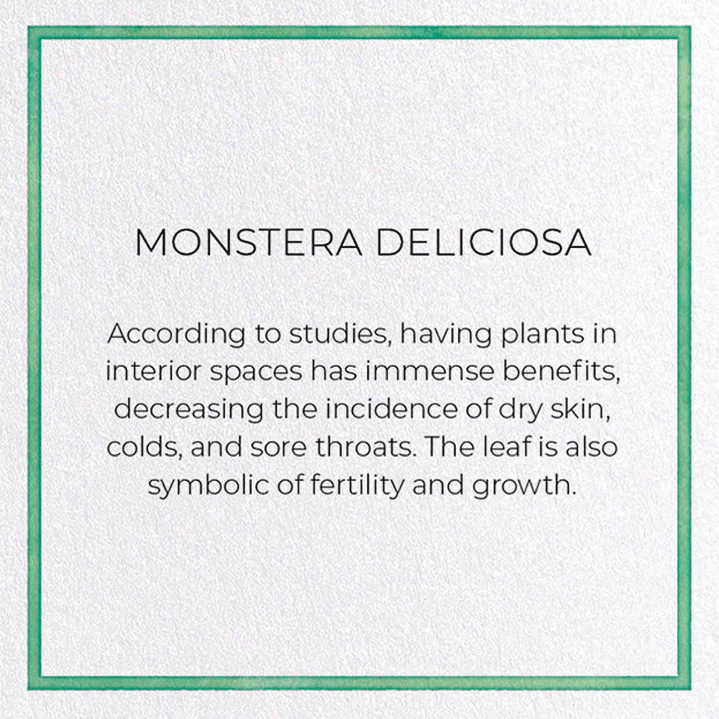 MONSTERA DELICIOSA: Watercolour Greeting Card