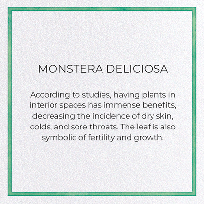 MONSTERA DELICIOSA: Watercolour Greeting Card