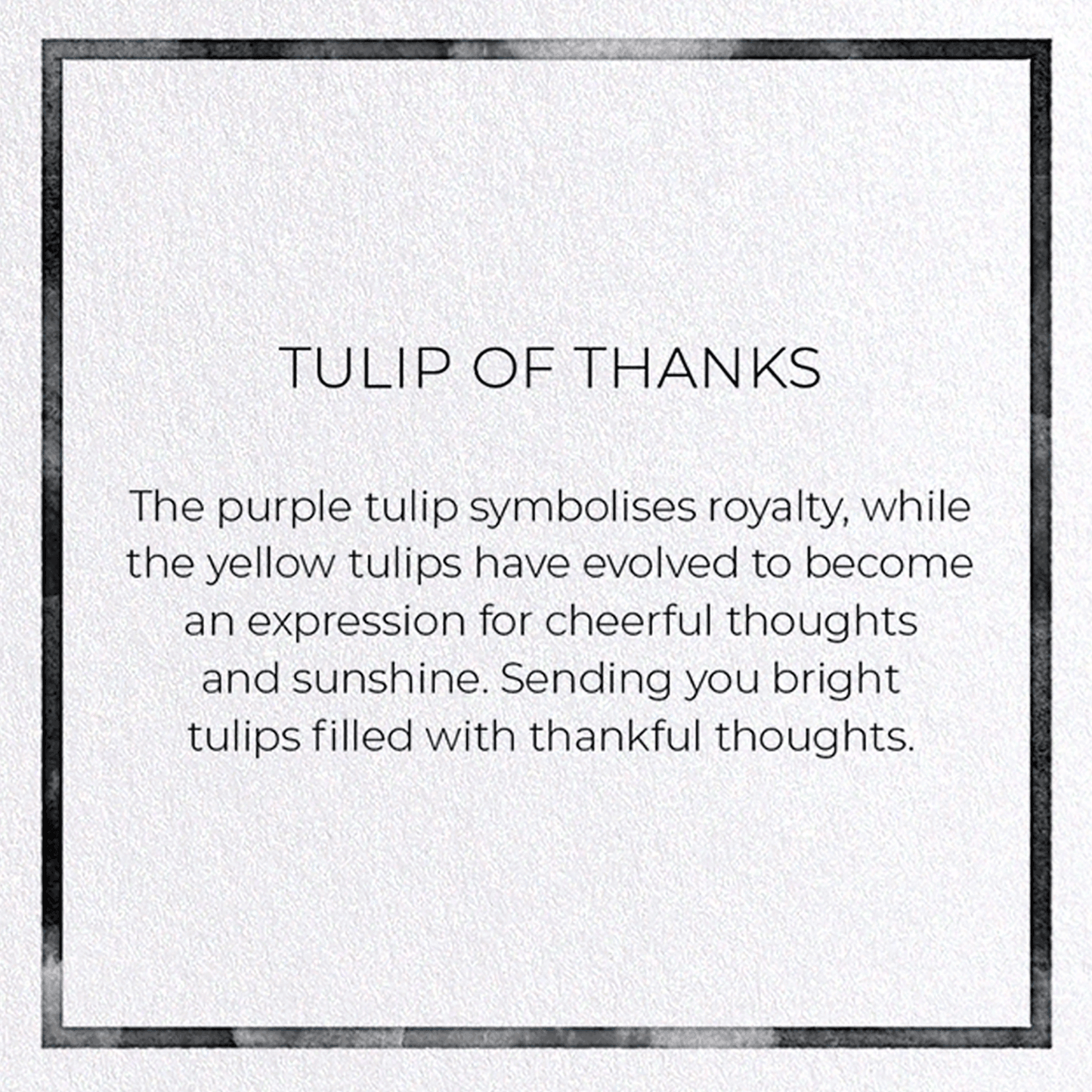 TULIP OF THANKS: Watercolour Greeting Card