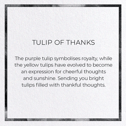 TULIP OF THANKS: Watercolour Greeting Card