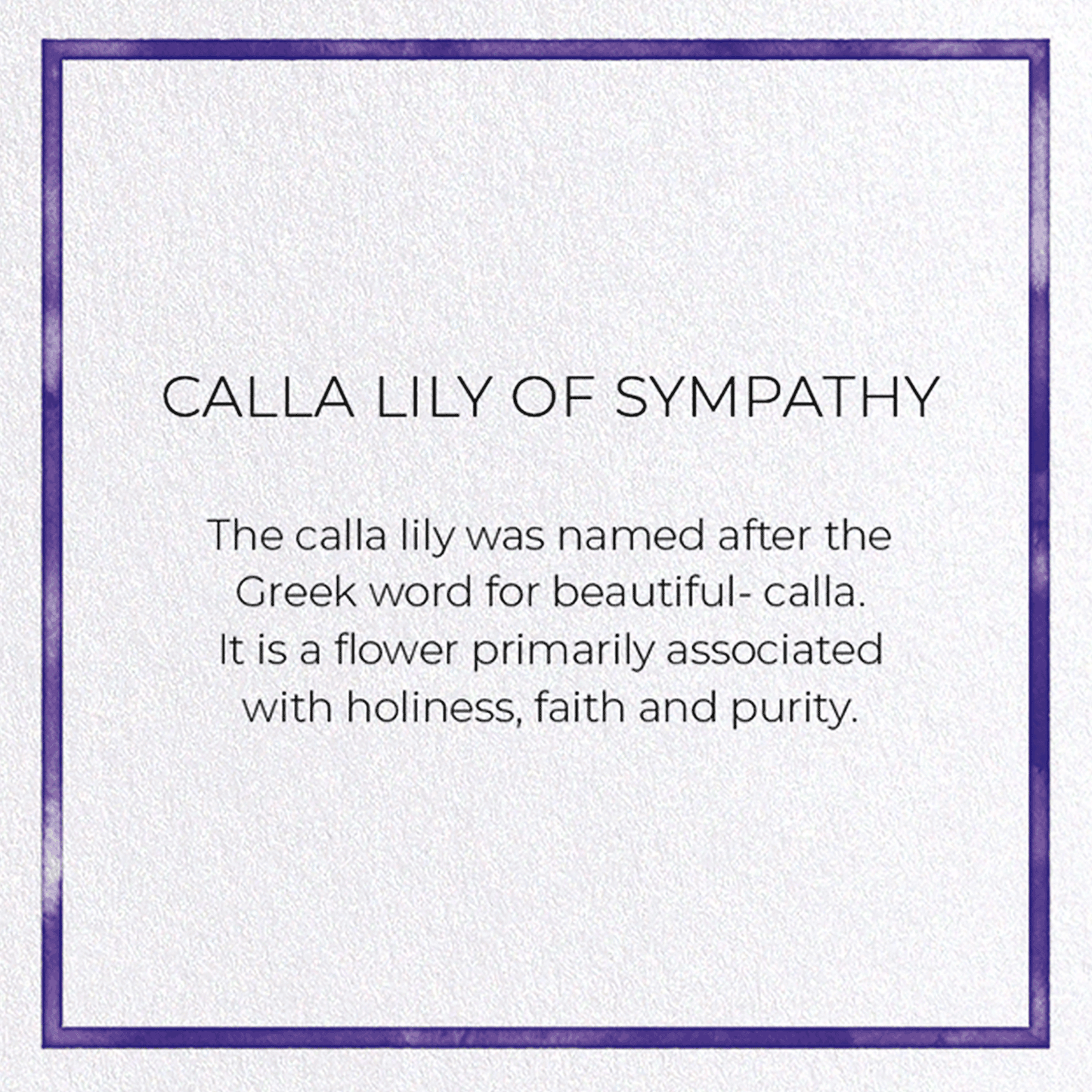 CALLA LILY OF SYMPATHY: Watercolour Greeting Card