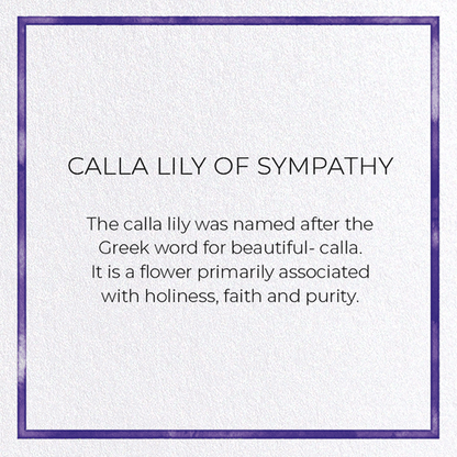 CALLA LILY OF SYMPATHY: Watercolour Greeting Card