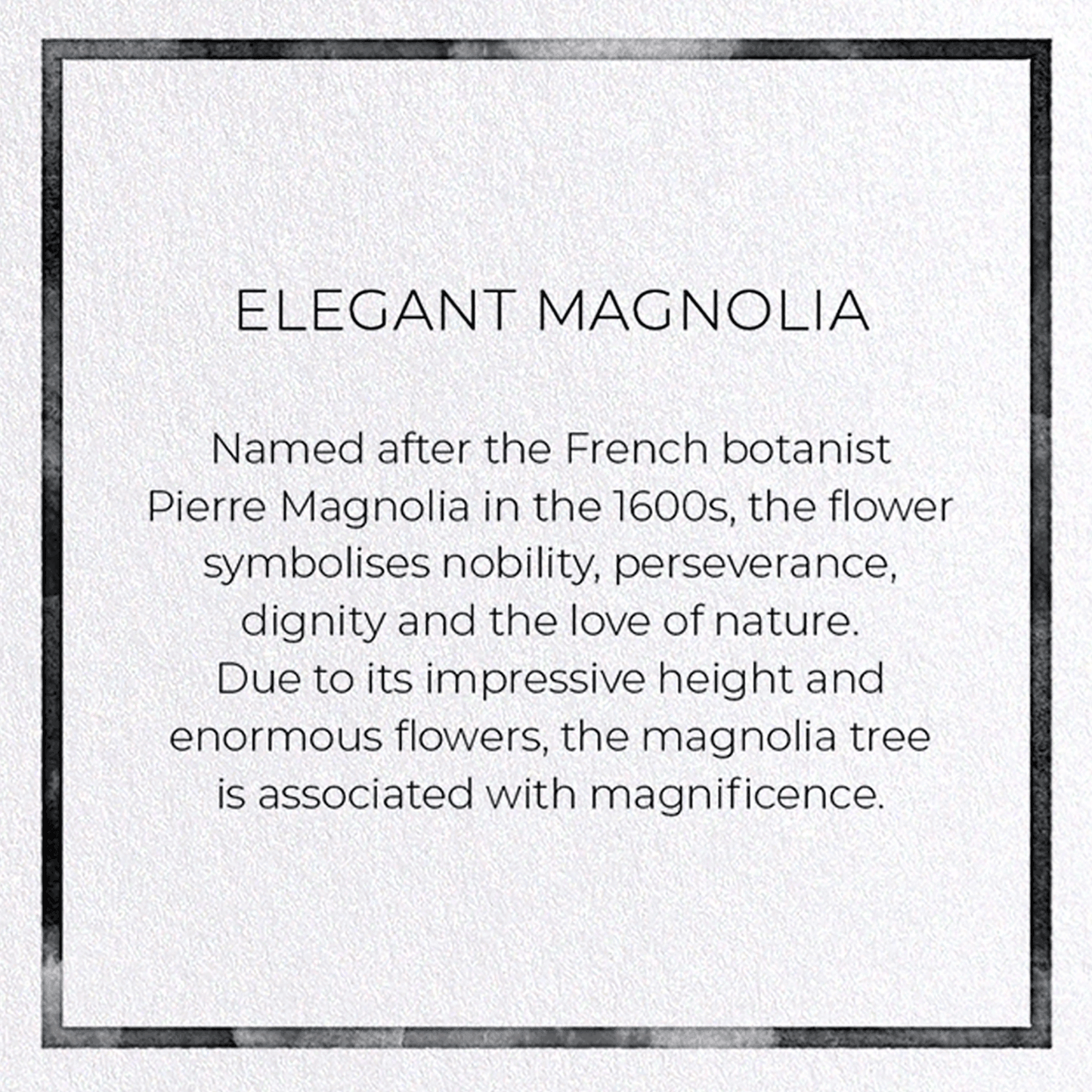 ELEGANT MAGNOLIA: Painting Greeting Card