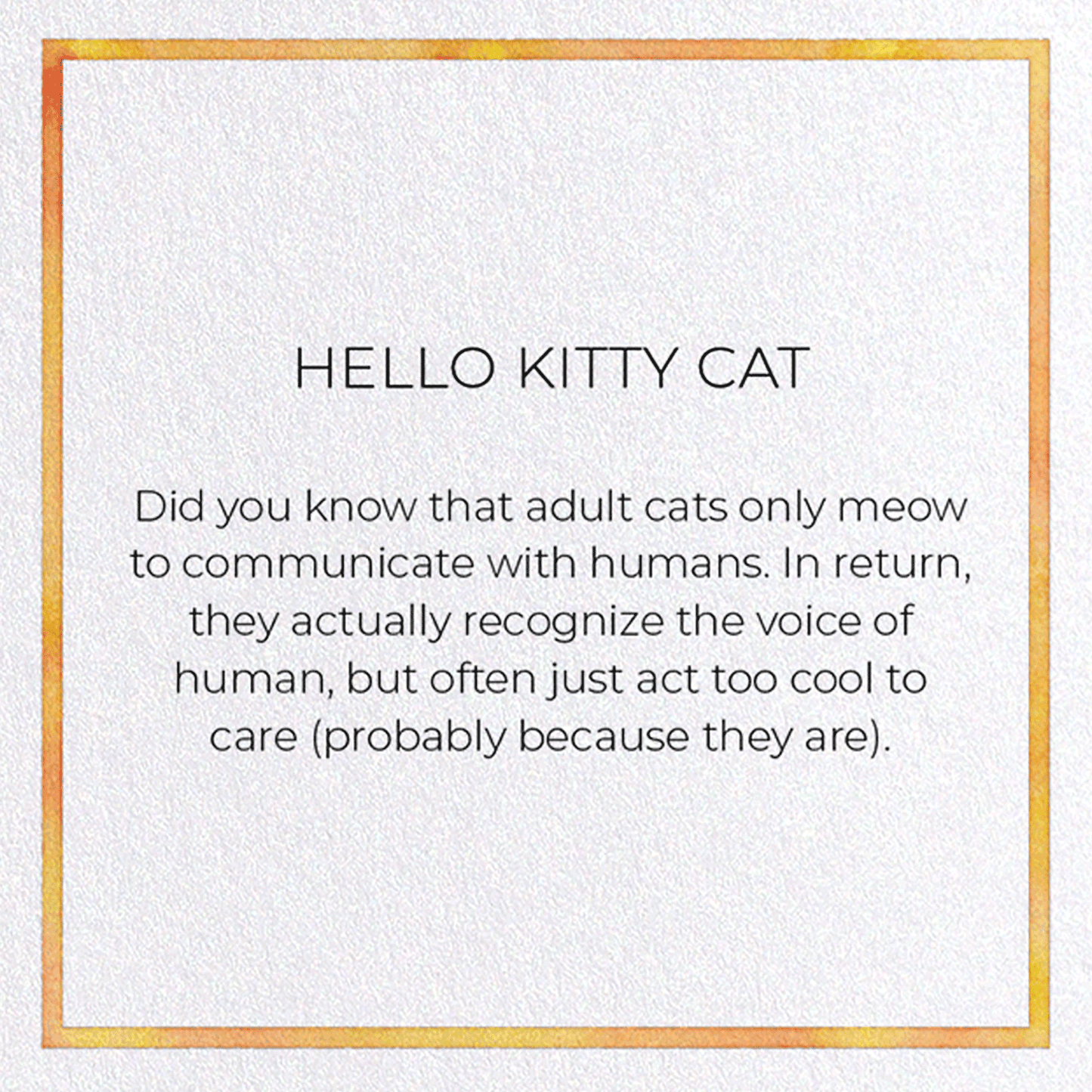 HELLO KITTY CAT: Watercolour Greeting Card
