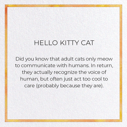 HELLO KITTY CAT: Watercolour Greeting Card