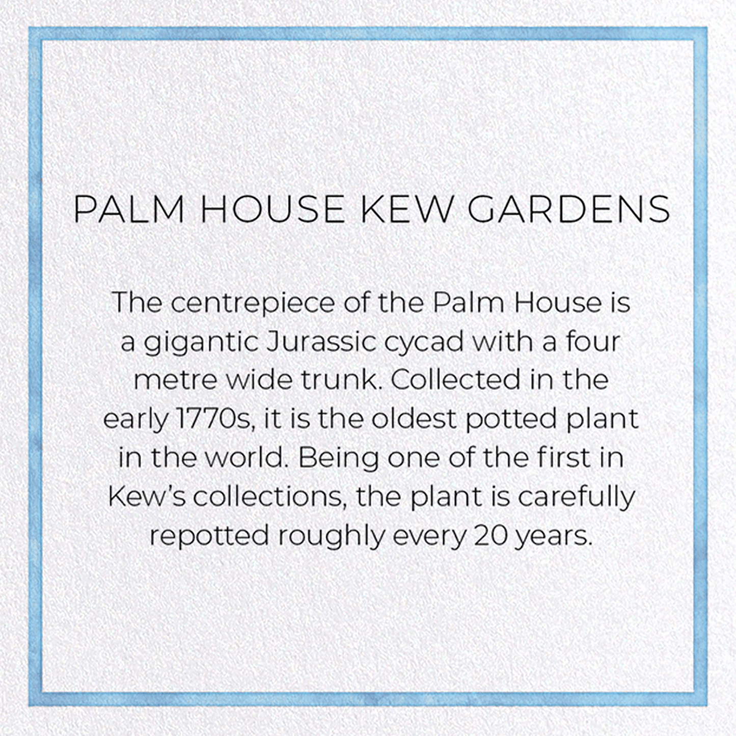 PALM HOUSE KEW GARDENS: Painting Greeting Card