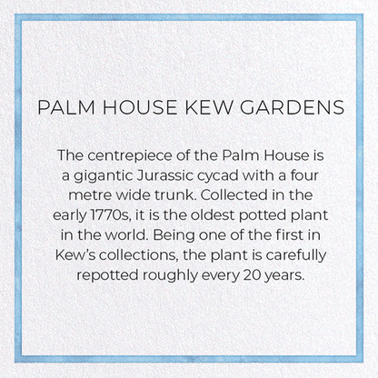 PALM HOUSE KEW GARDENS: Painting Greeting Card