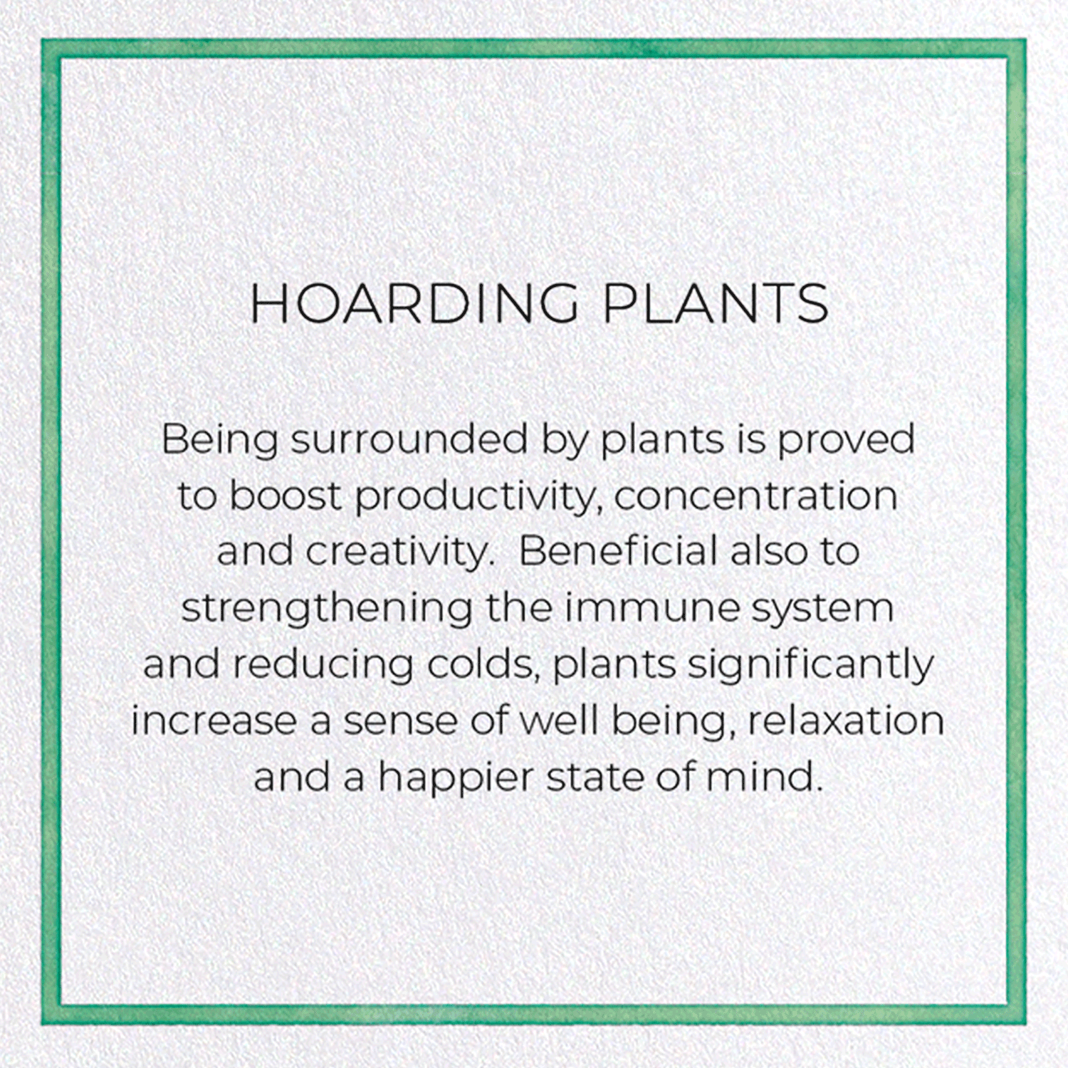 HOARDING PLANTS: Watercolour Greeting Card