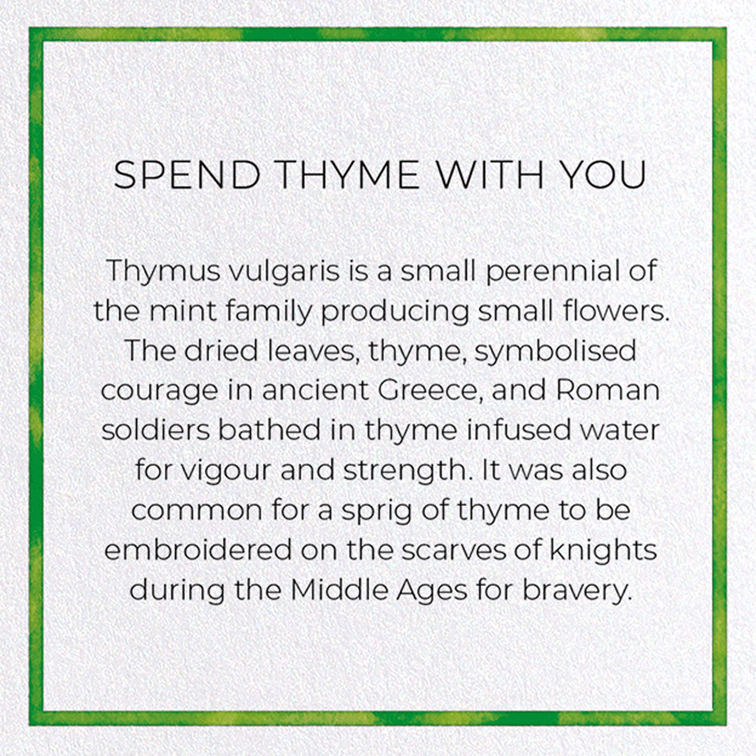 SPEND THYME WITH YOU: Watercolour Greeting Card