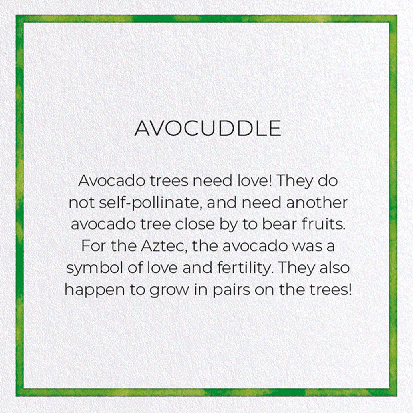AVOCUDDLE: Watercolour Greeting Card