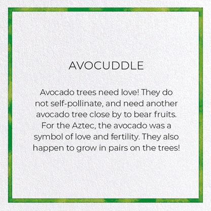AVOCUDDLE: Watercolour Greeting Card