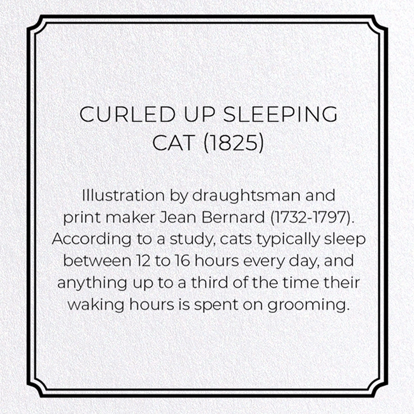CURLED UP SLEEPING CAT (1825): Painting Greeting Card