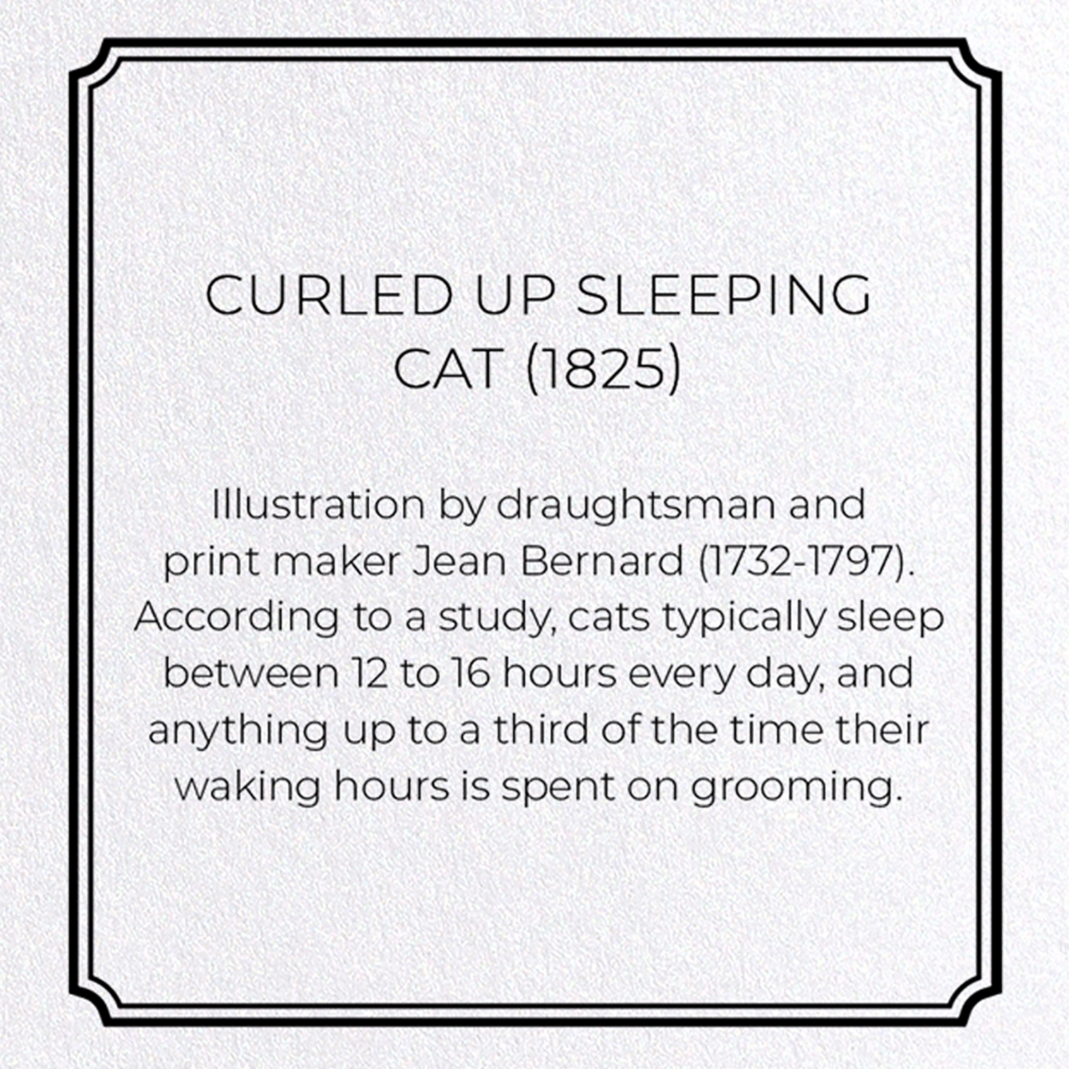 CURLED UP SLEEPING CAT (1825): Painting Greeting Card