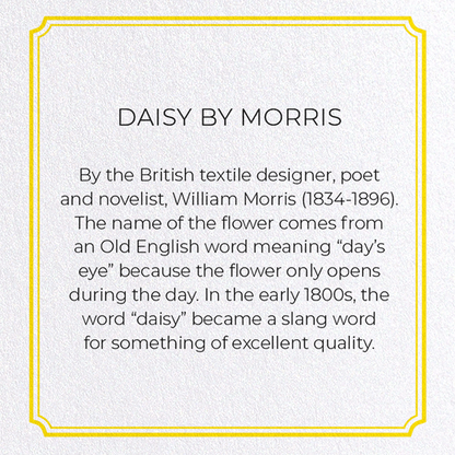 DAISY BY MORRIS: Pattern Greeting Card