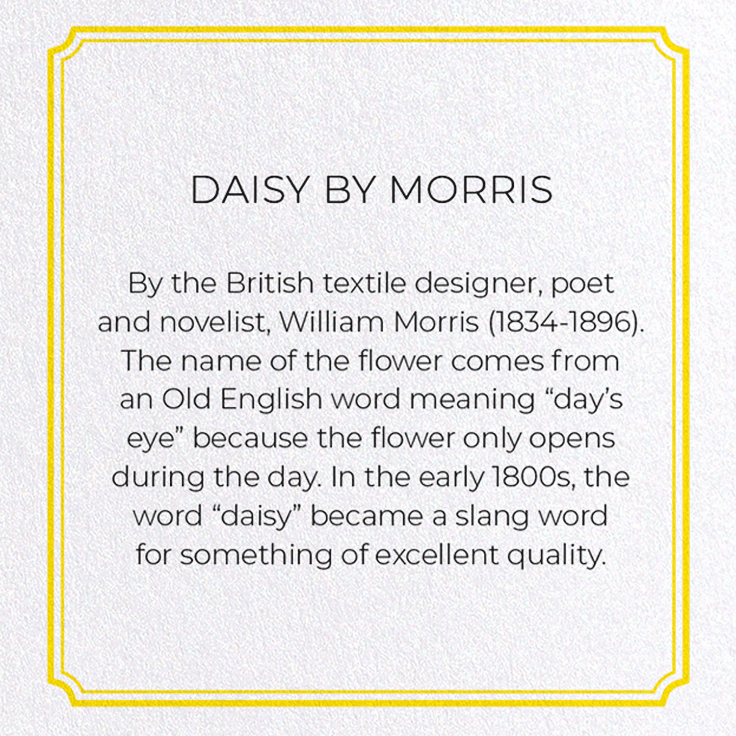 DAISY BY MORRIS: Pattern Greeting Card