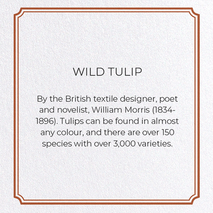 WILD TULIP: Pattern Greeting Card