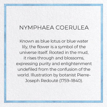 NYMPHAEA COERULEA: Pattern Greeting Card