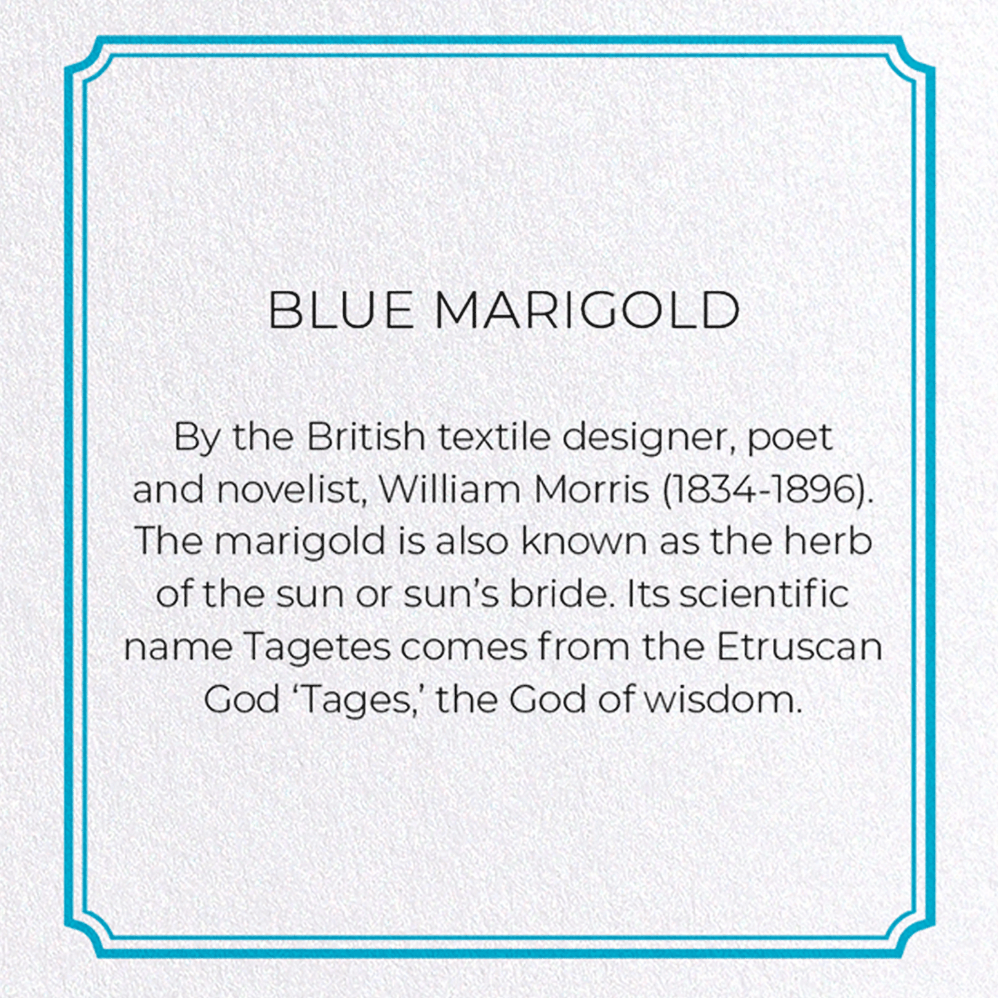BLUE MARIGOLD: Pattern Greeting Card