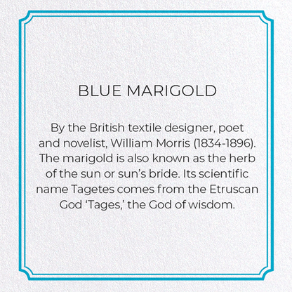 BLUE MARIGOLD: Pattern Greeting Card