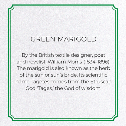 GREEN MARIGOLD: Pattern Greeting Card