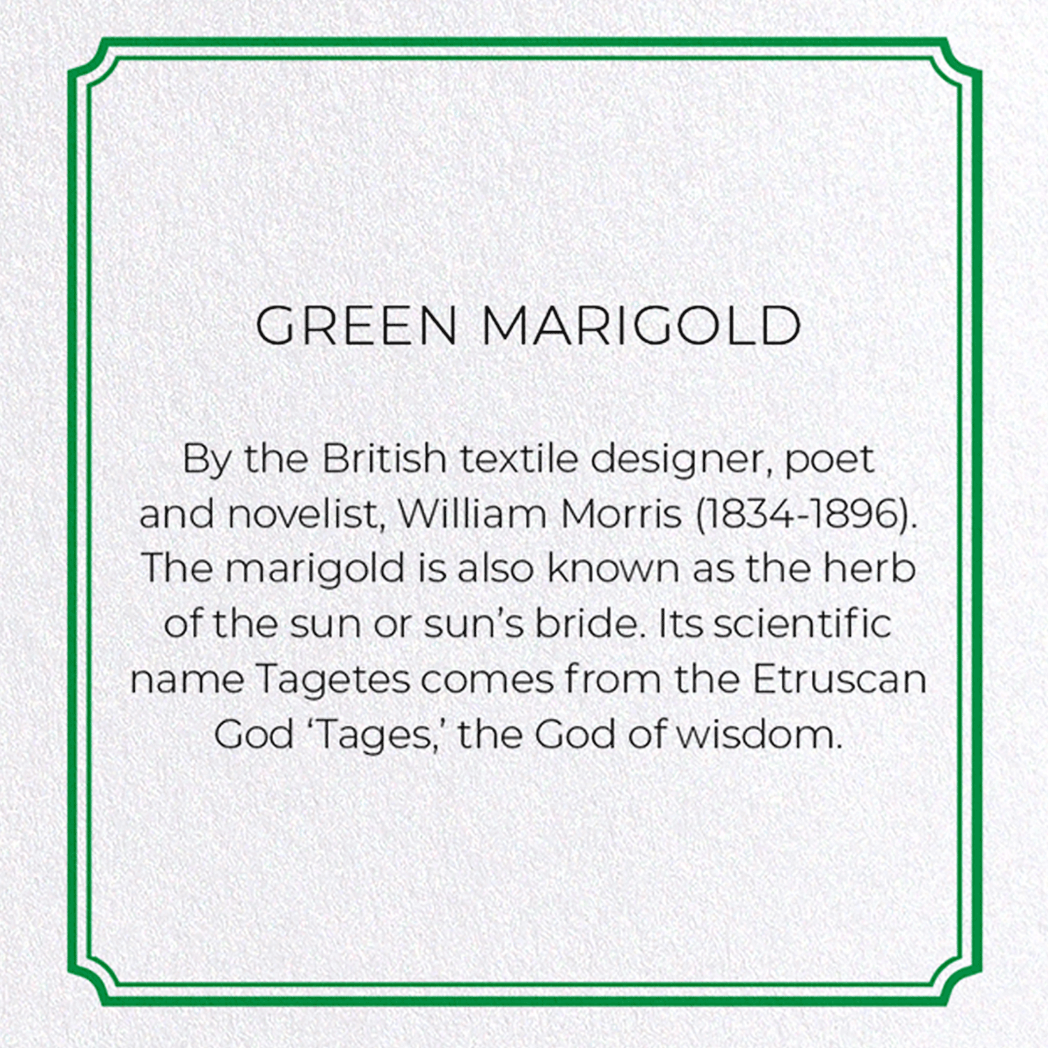 GREEN MARIGOLD: Pattern Greeting Card