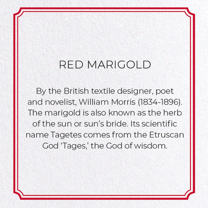 RED MARIGOLD: Pattern Greeting Card