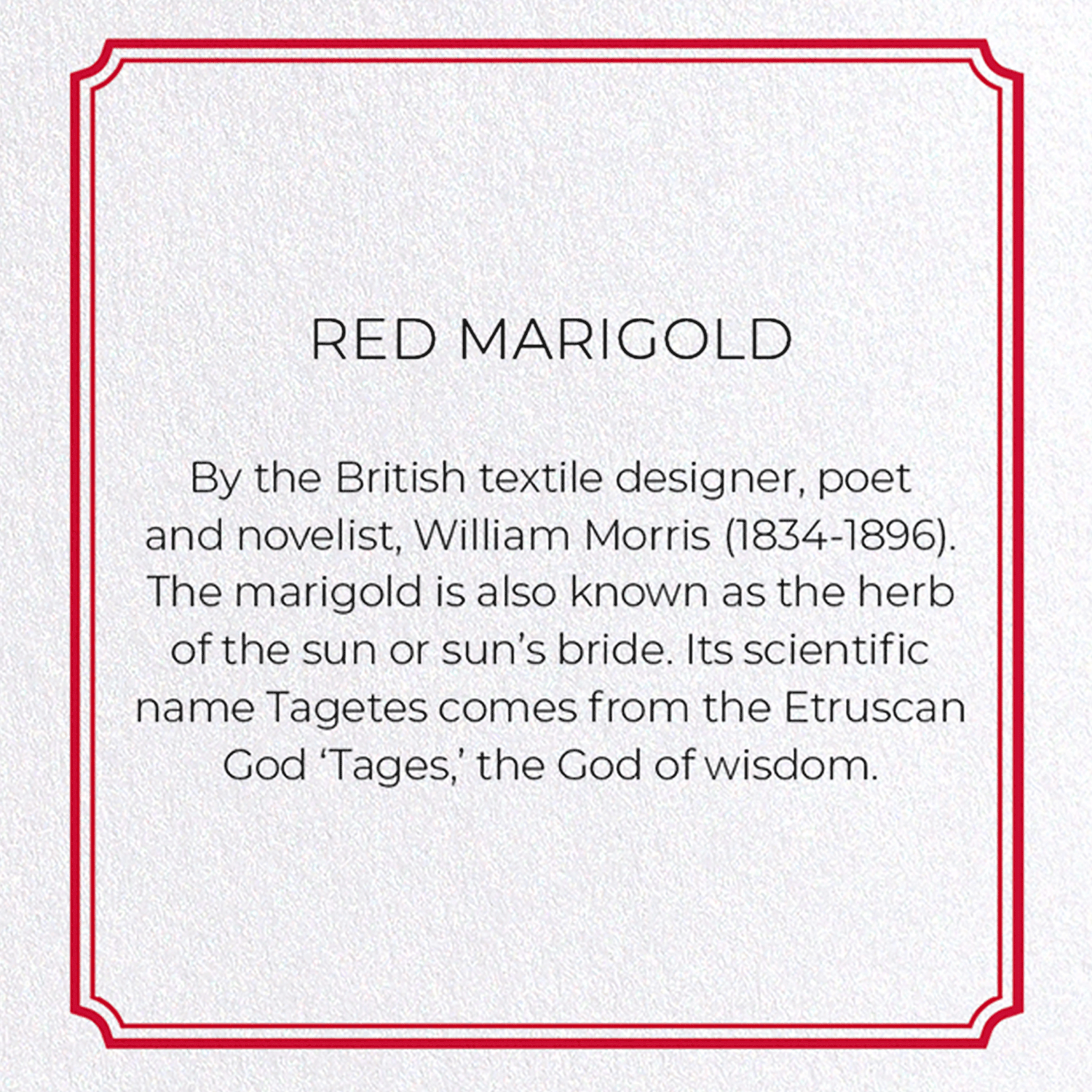 RED MARIGOLD: Pattern Greeting Card