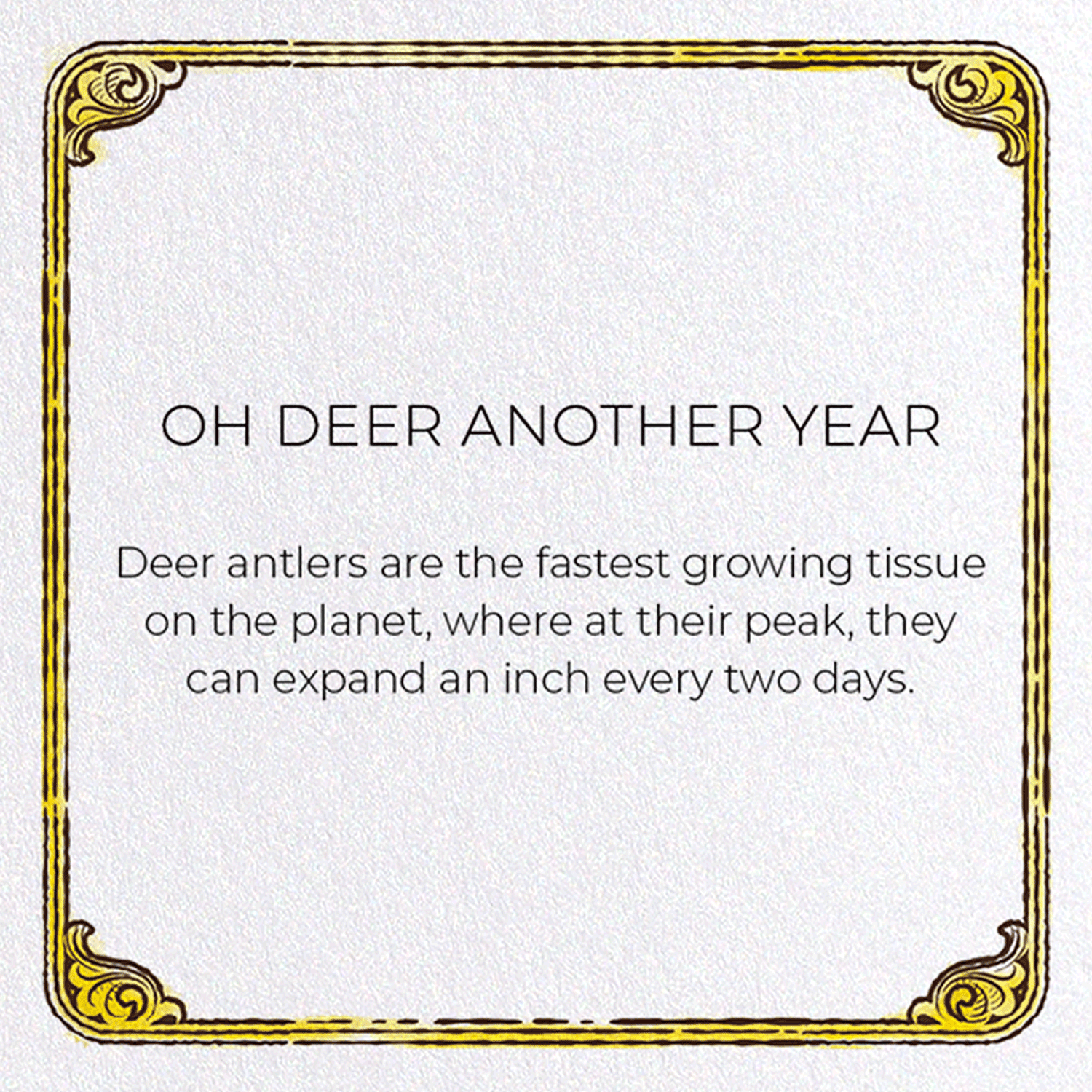 OH DEER ANOTHER YEAR : Victorian Greeting Card