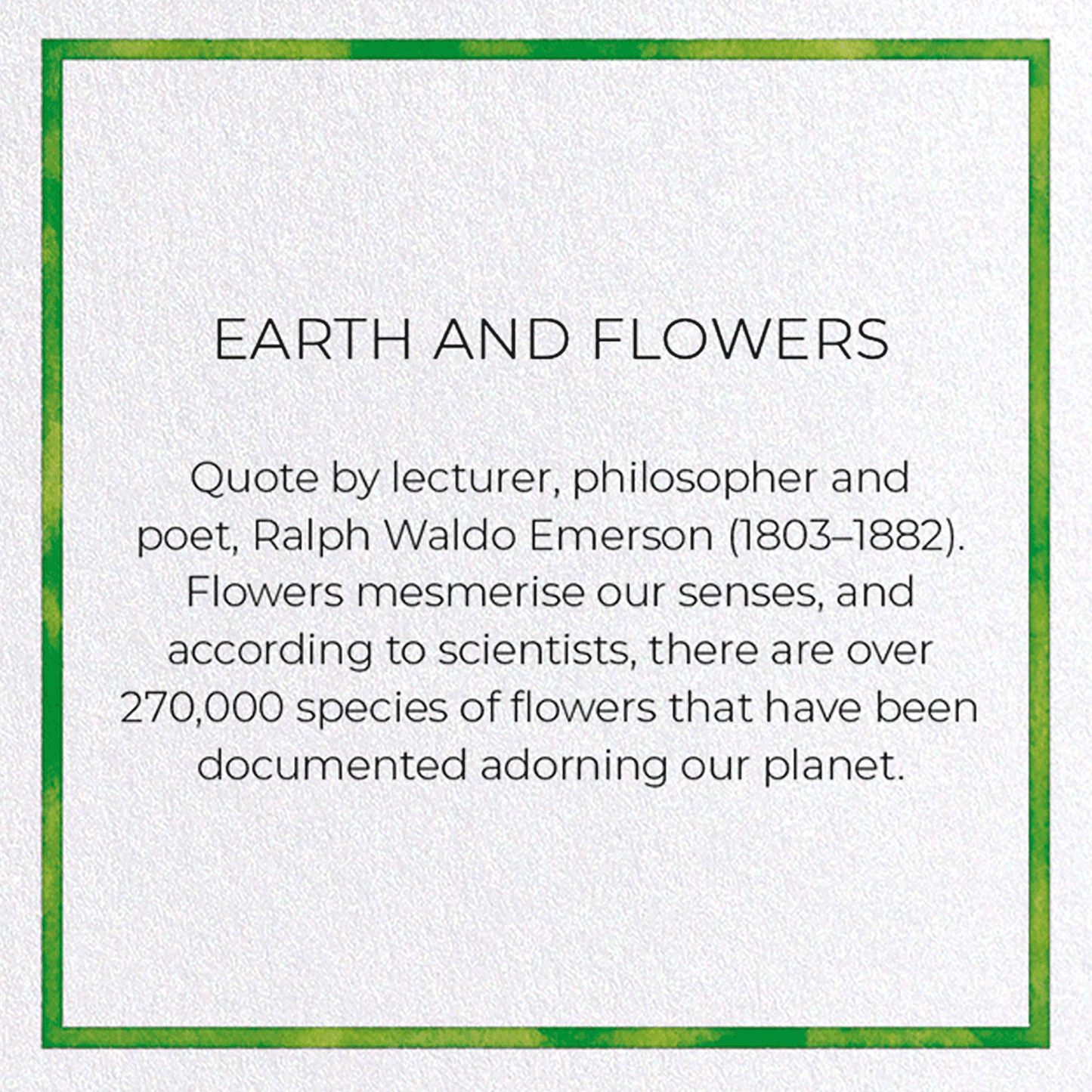EARTH AND FLOWERS: Watercolour Greeting Card