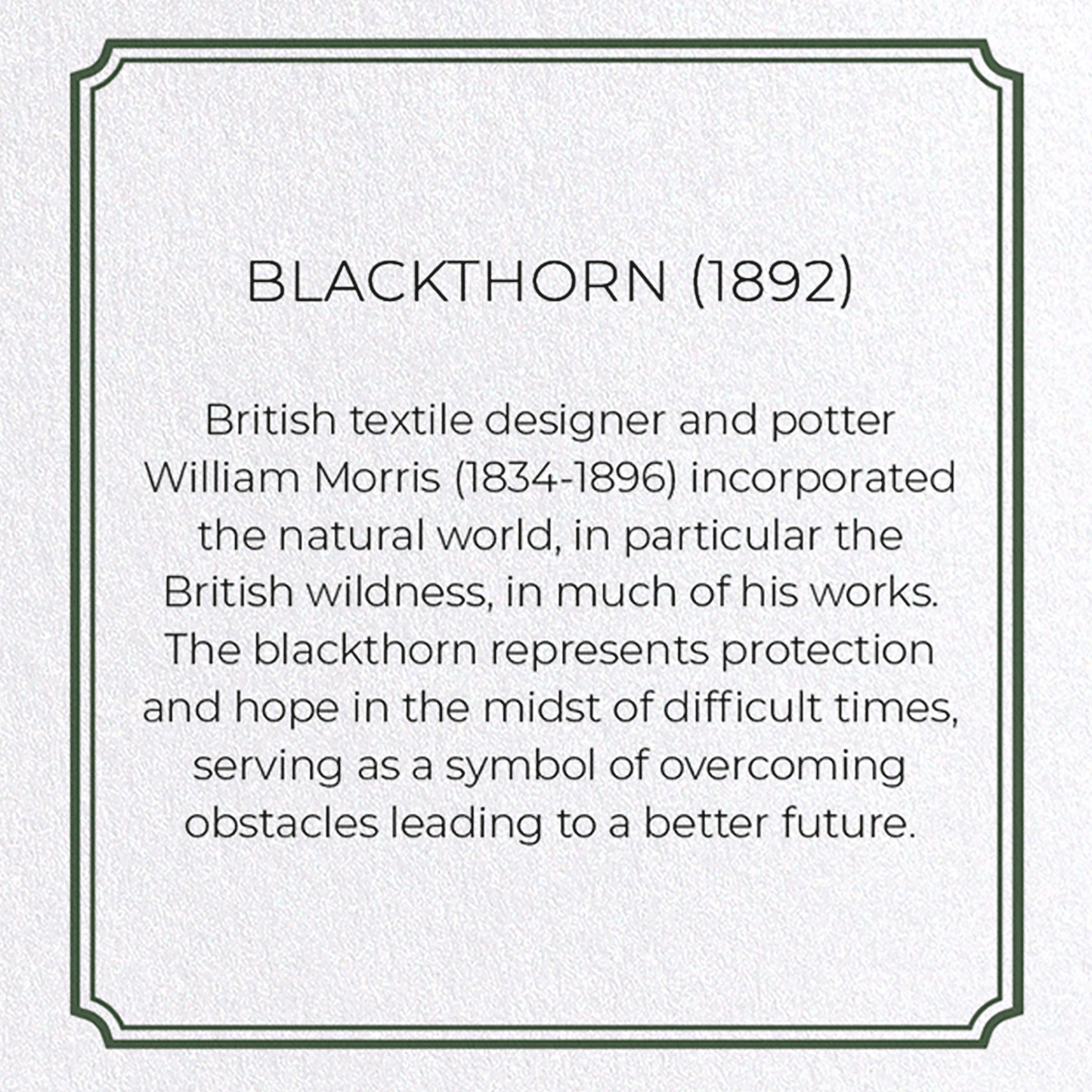 BLACKTHORN (1892): Pattern Greeting Card