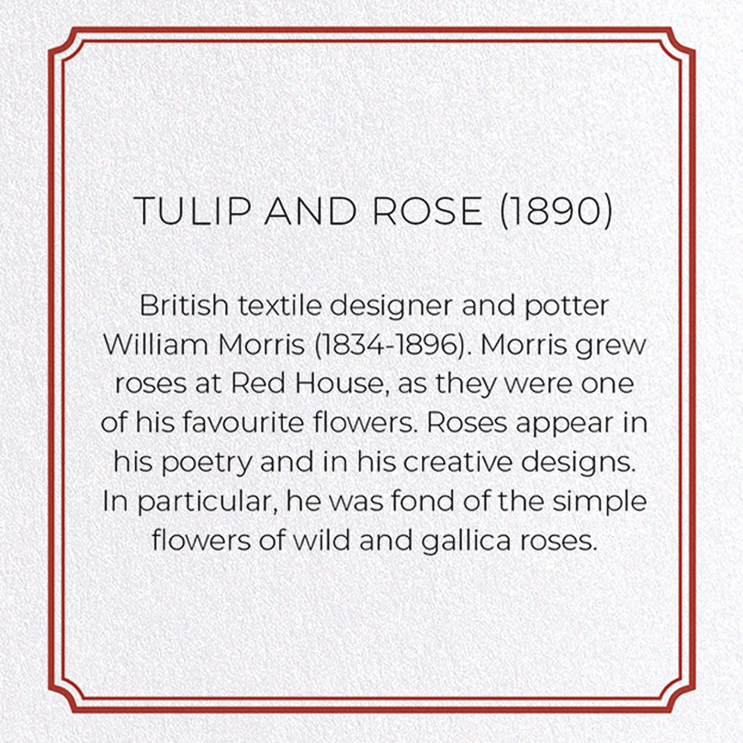 TULIP AND ROSE (1890): Pattern Greeting Card