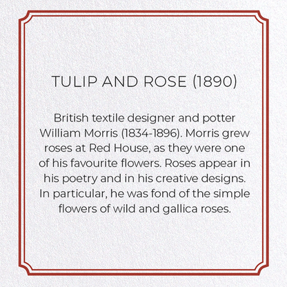 TULIP AND ROSE (1890): Pattern Greeting Card