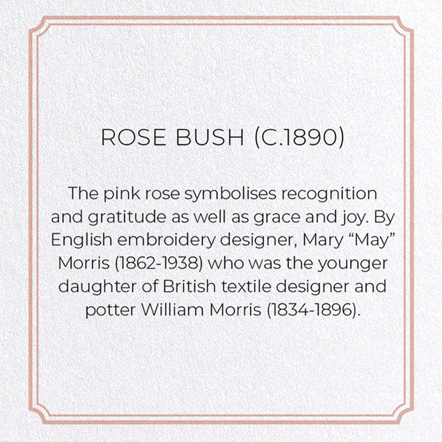 ROSE BUSH (C.1890): Pattern Greeting Card