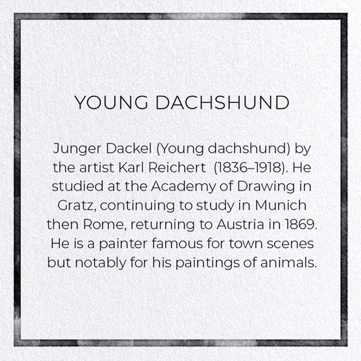 YOUNG DACHSHUND: Painting Greeting Card