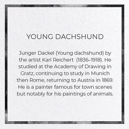 YOUNG DACHSHUND: Painting Greeting Card