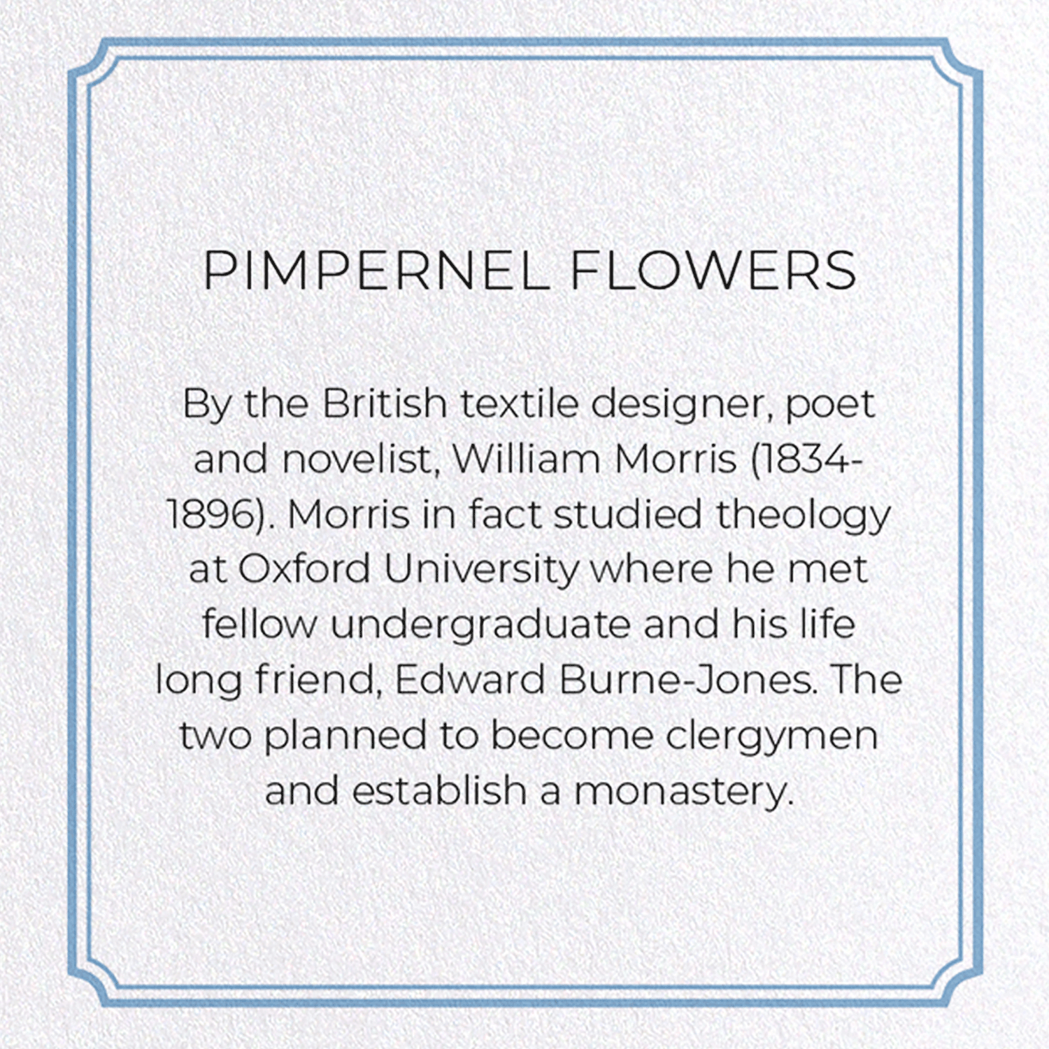 PIMPERNEL FLOWERS: Pattern Greeting Card