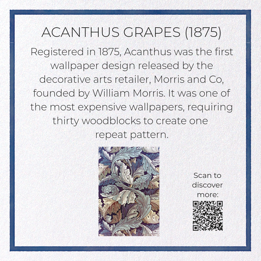 ACANTHUS GRAPES: Pattern Greeting Card